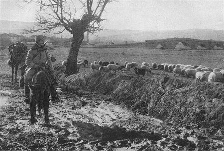 Der 1. Weltkrieg: Kosovo Polje