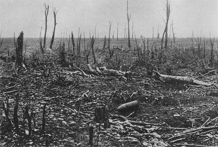 Westfront 1. Weltkrieg: Priesterwald